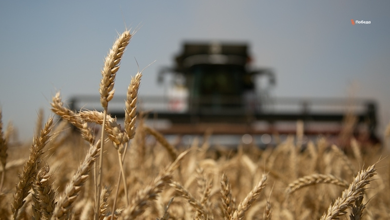      Фото: Валерия Алтухова / / ИА «Победа26