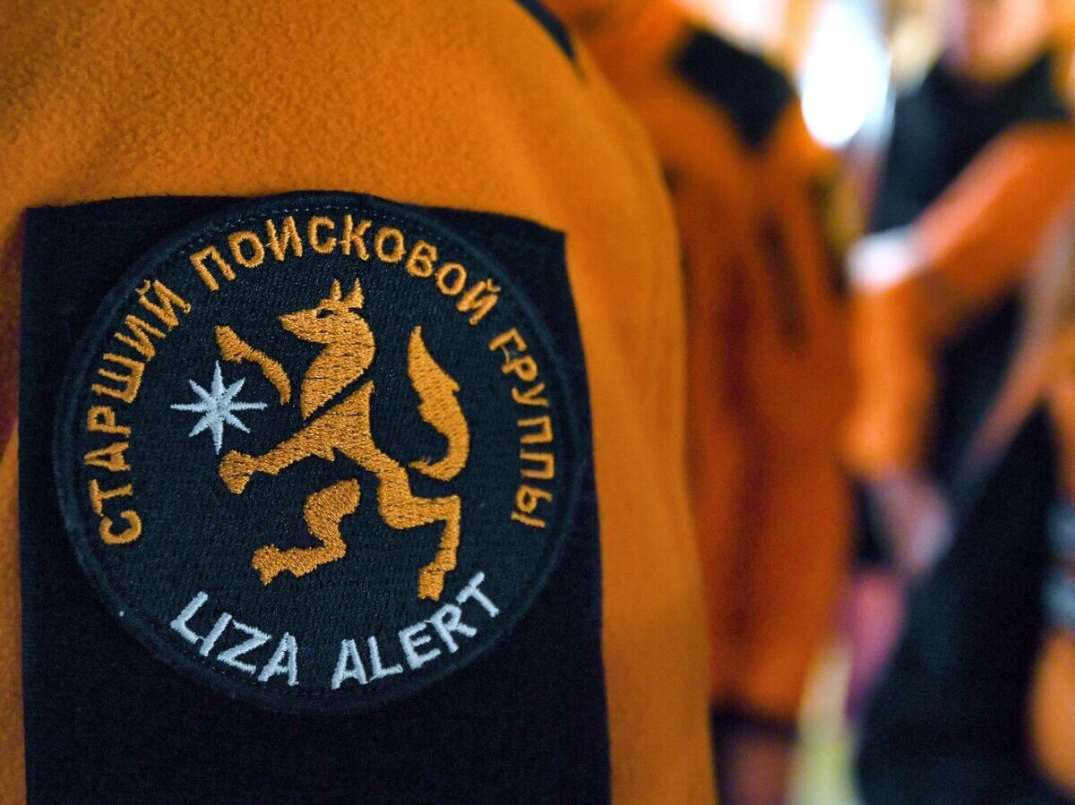    Шеврон поисково-спасательного отряда "Лиза Алерт" | © РИА Новости / Нина Зотина
