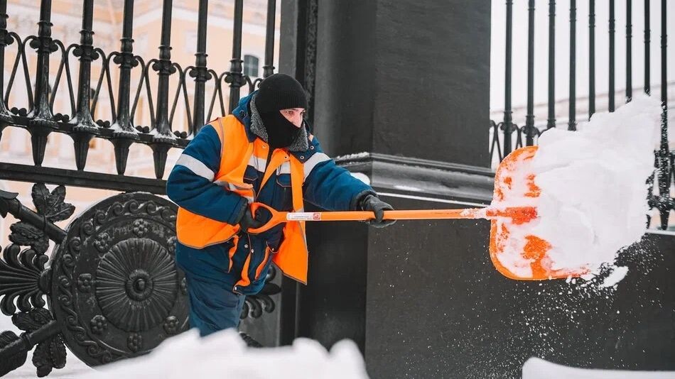   АНО "Медиа ДОМ"