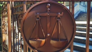    Элина Болдырева Юлия Виноградова