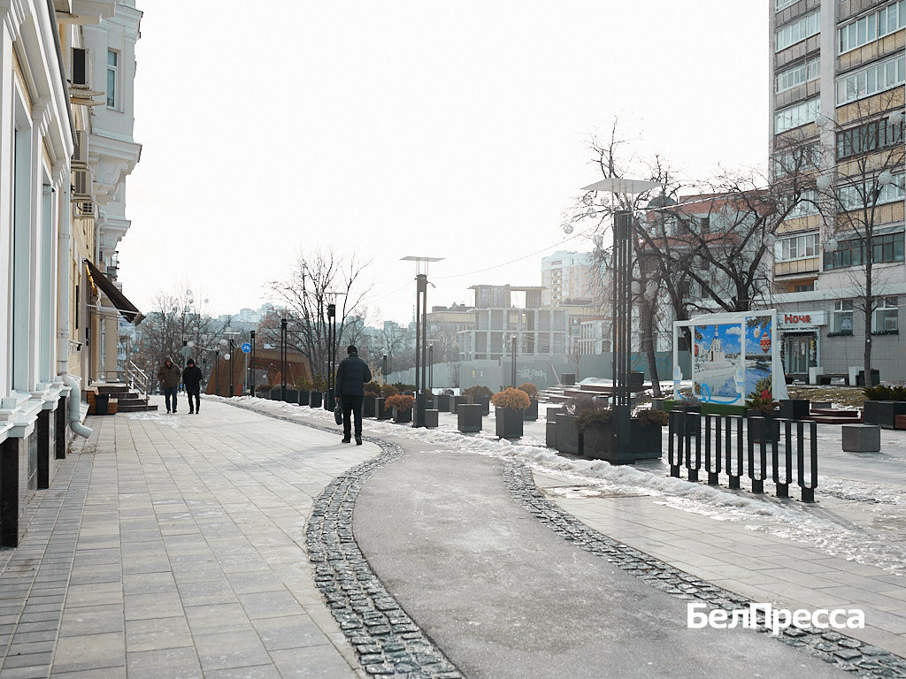     Фото: Елена Журавлёва