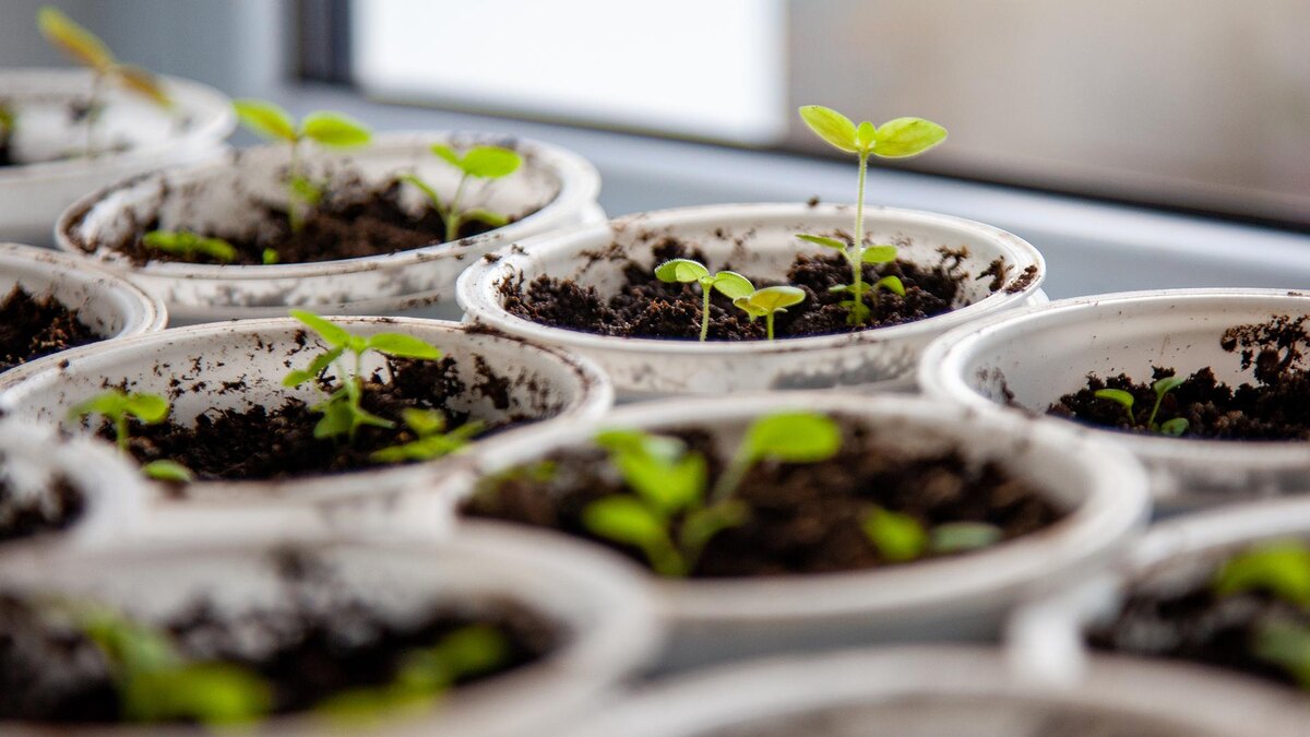    Фото: Oksana Korol/globallookpress.com