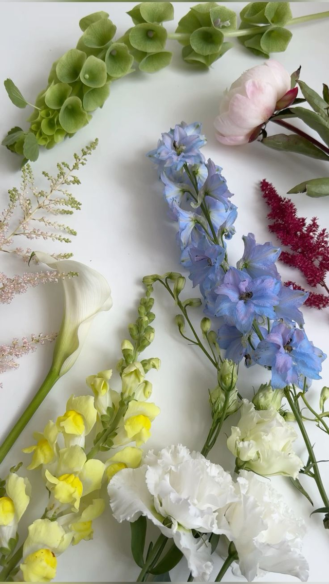 источник:https://ru.pinterest.com/pin/75435362503669266/