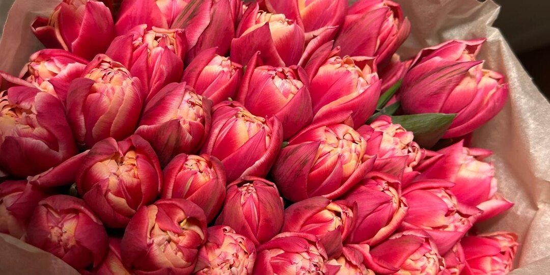 А вы видели, сколько стоят тюльпаны?