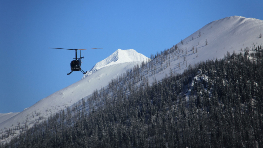   Фото: www.globallookpress.com/Nikolay Gyngazov