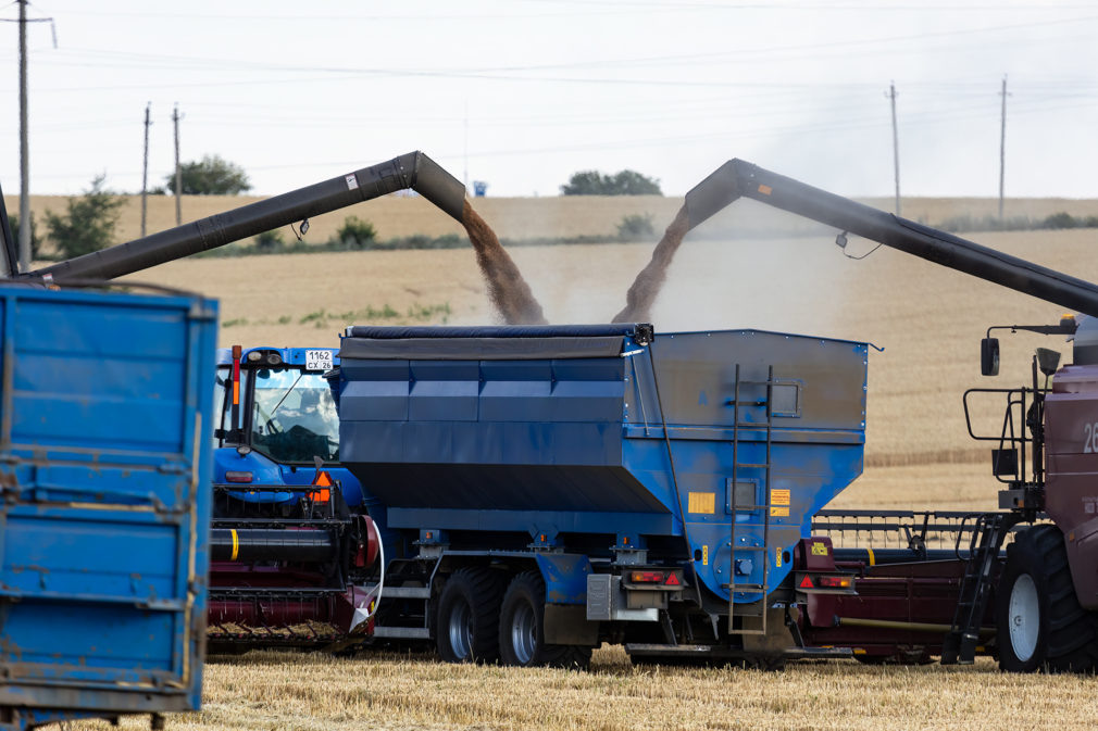    Фото: СвоёТВ/Сергей Пархисенко Светлана Уварова