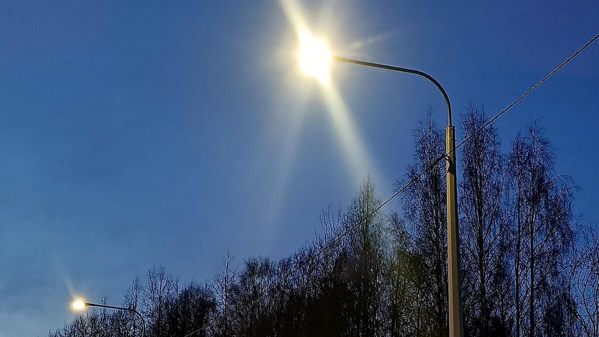    Фото: пресс-служба губернатора Санкт-Петербурга