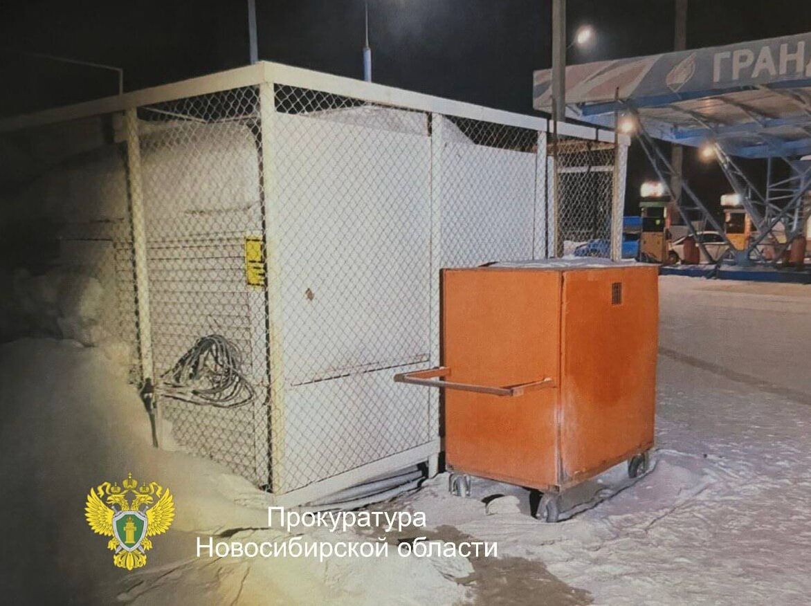     / Источник: Прокуратура Новосибирской области