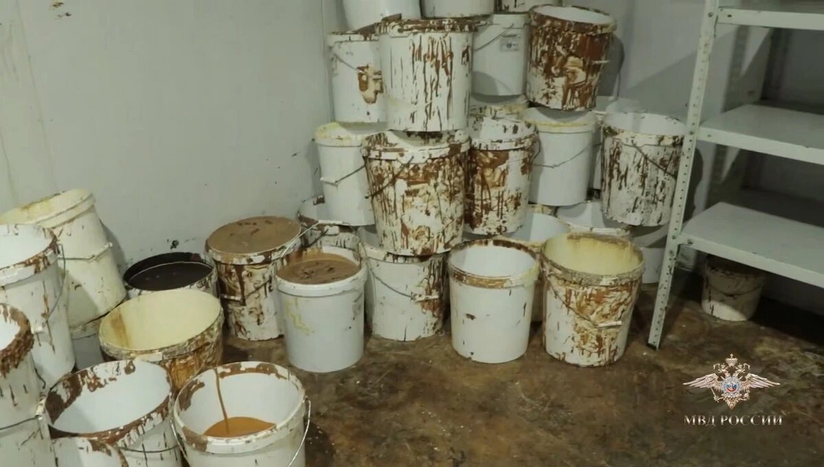    Скриншот видео t.me/IrinaVolk_MVD