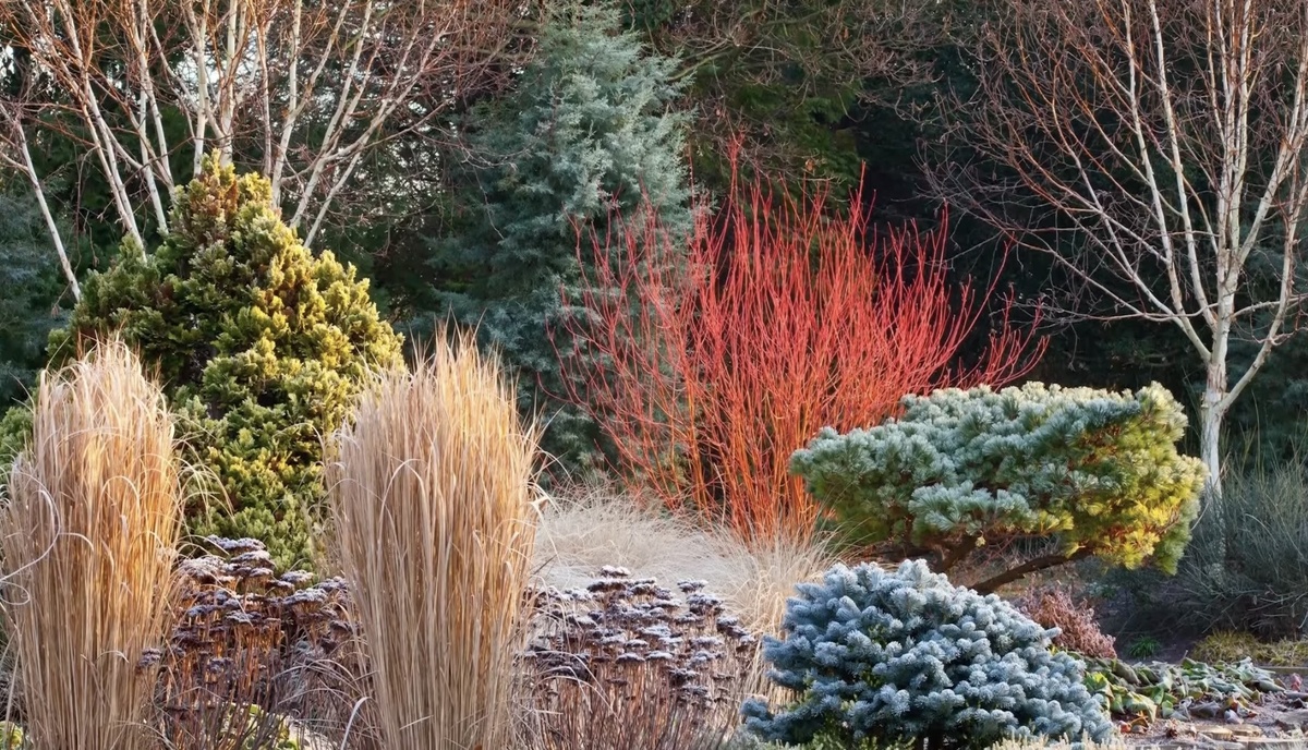 Необыкновенная композиция, фото из интернета