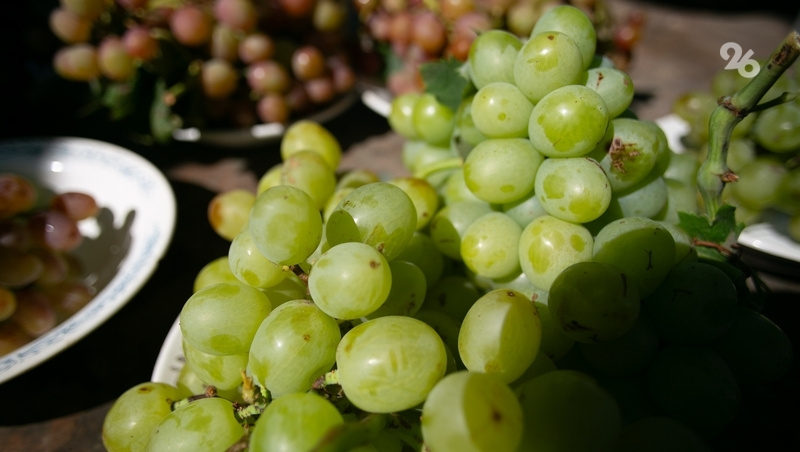      Фото: Валерия Алтухова / / ИА «Победа26»