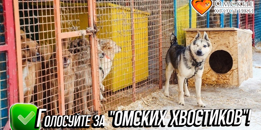 500+ ХВОСТИКОВ ПРОСЯТ ВАШ ГОЛОС! Осталось всего 3 дня!