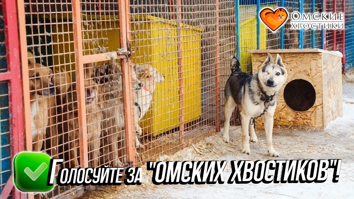 Помните, голосовать можно КАЖДЫЙ ДЕНЬ (один раз в 24 часа)! У каждого из нас есть ещё 3 голоса!