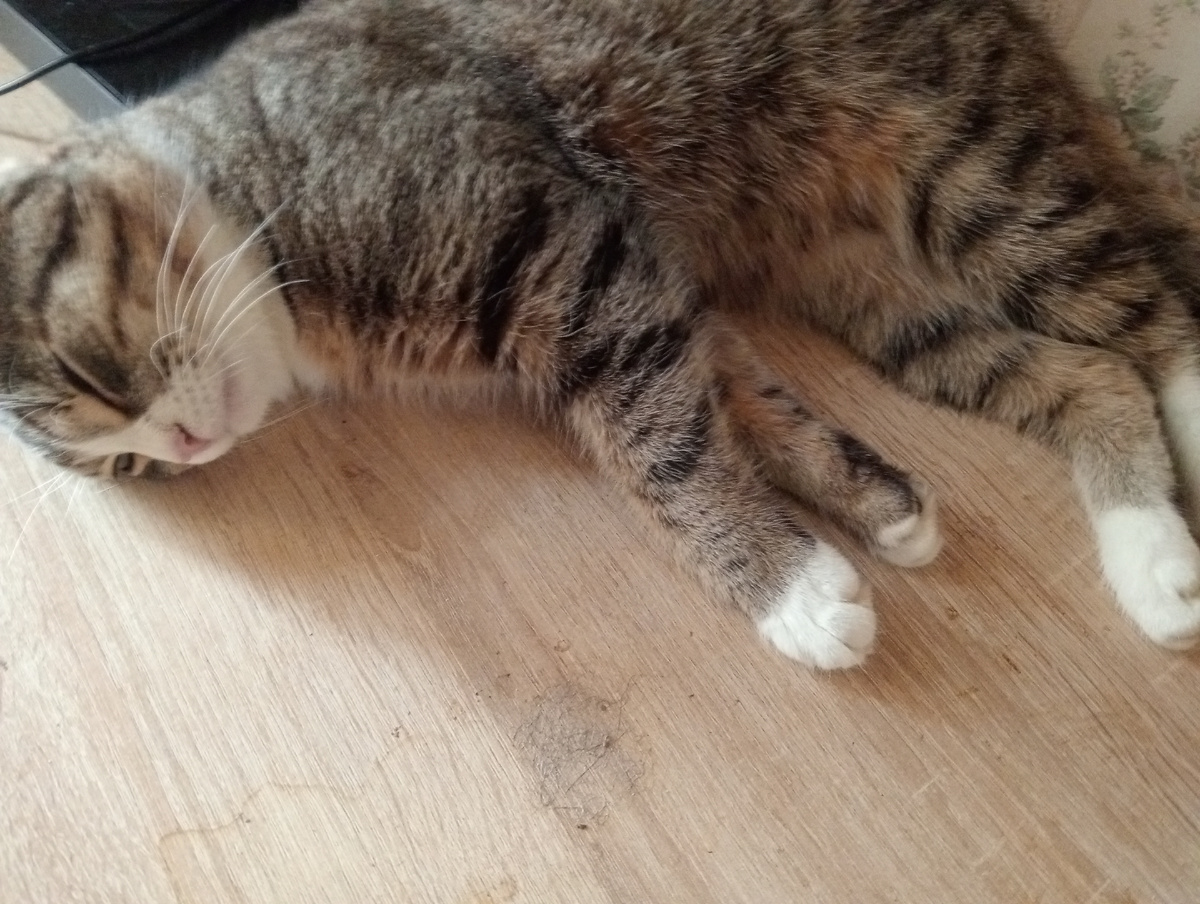 Невасенька спит