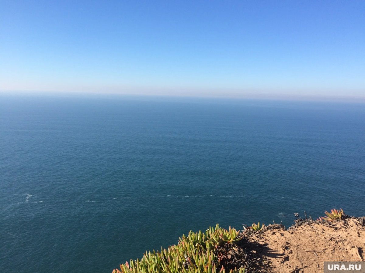     Из апартаментов, которые фигурируют в расследовании Джалябова, открывается вид на море