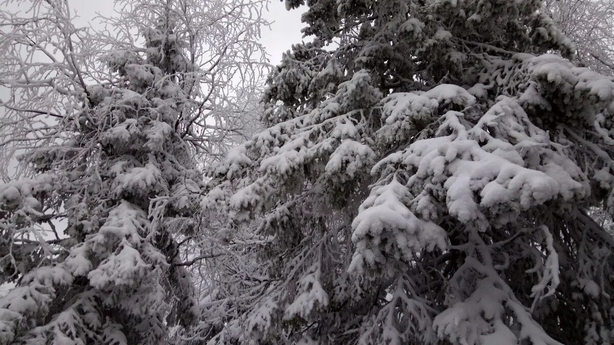     © "Интерфакс". Максим Чертков