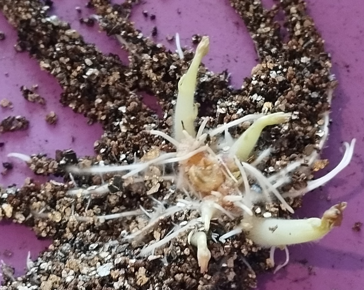 Фото автора статьи: Ворошиловой М. В. 14.03.2026 г.