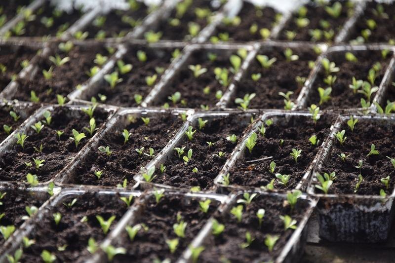 Фото: Алексей Кунилов