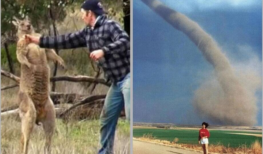 Мир в объективе: кадры из разных стран, которые трогают до глубины души