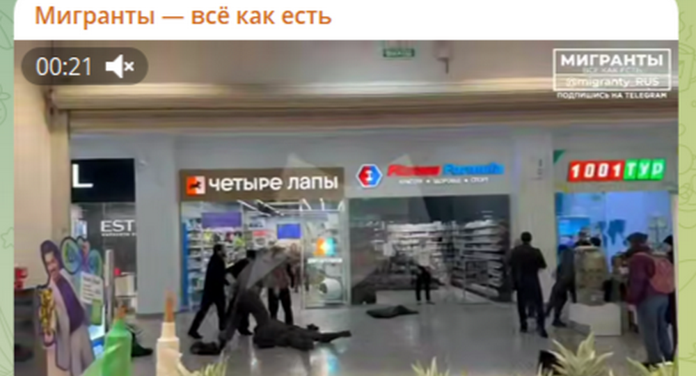 "Вы че творите?": толпа приезжих напала на охранников московского ТЦ