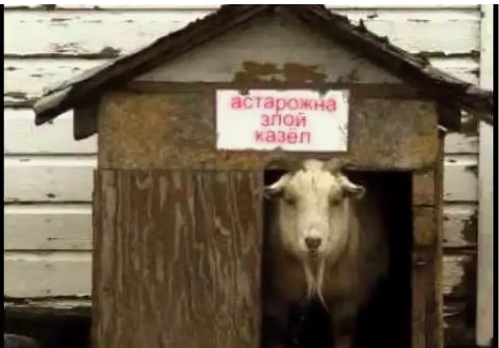 Картинка из интернета