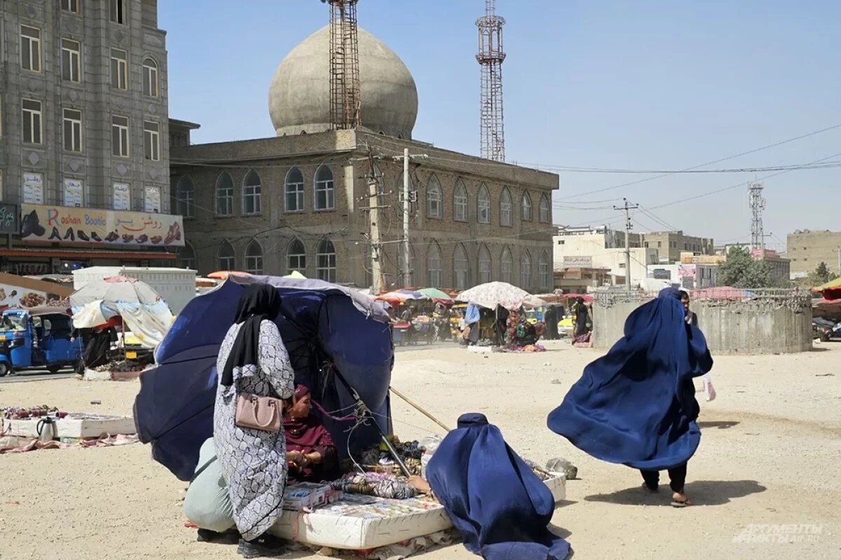    Политолог Мезюхо назвал причины конфликта Пакистана и Афганистана