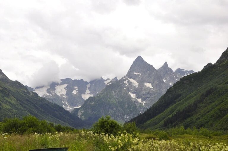    Фото: Общественная Служба Новостей Марта Леви