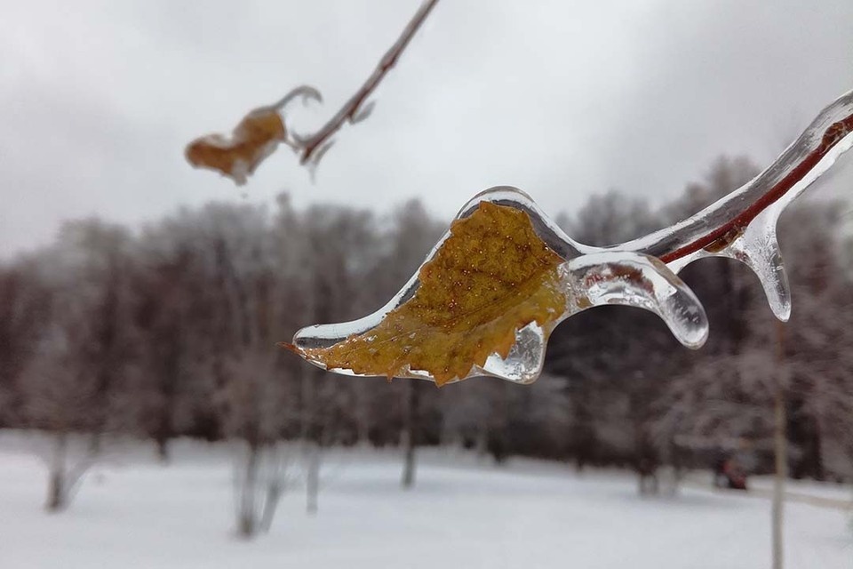    За ситуацией в Петербурге во время непогоды будут следить дежурные бригады. Михаил РЯБИКОВ