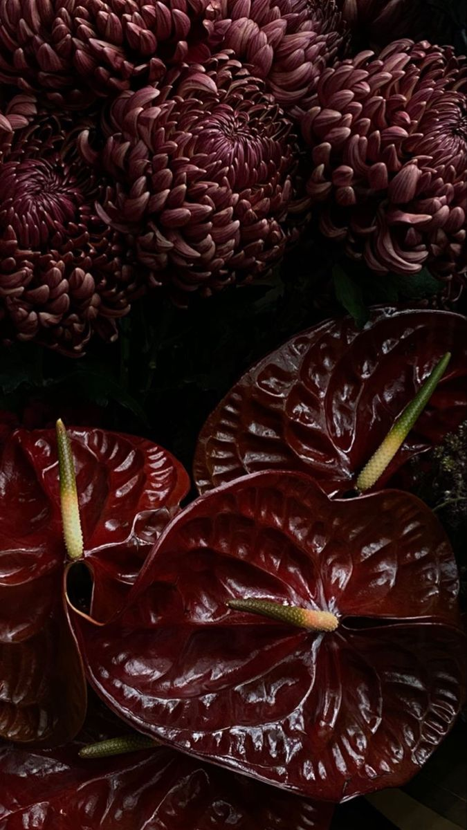 источник:https://ru.pinterest.com/pin/1618549864628992/