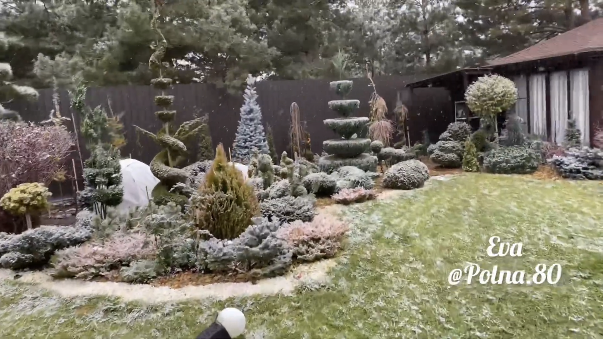 Фото из открытых источников в интернете