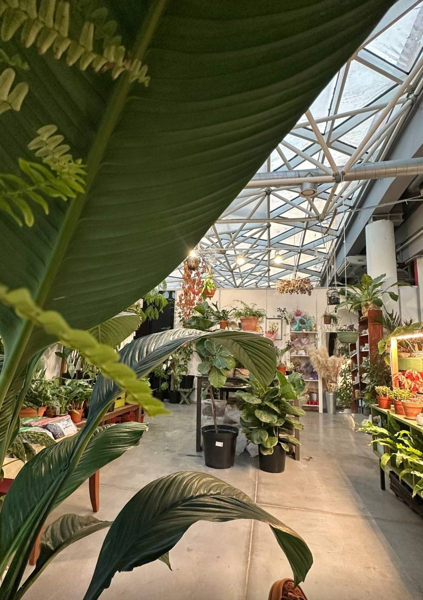 И, жизни красота....