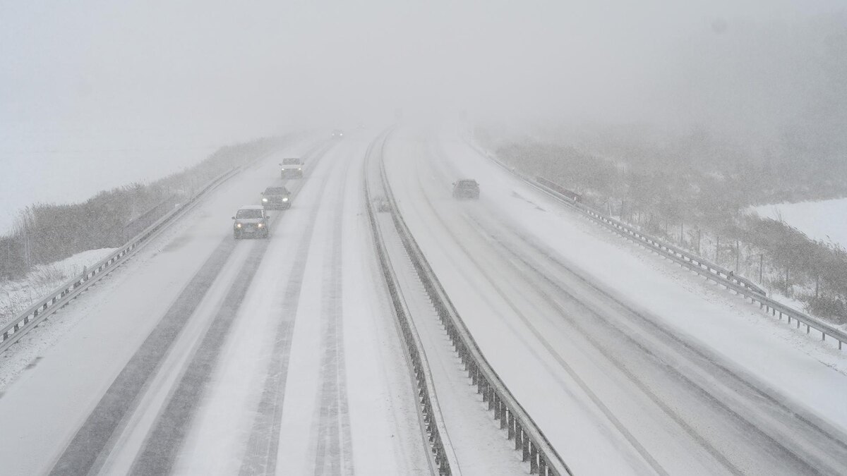    Фото: Lars Penning/globallookpress.com