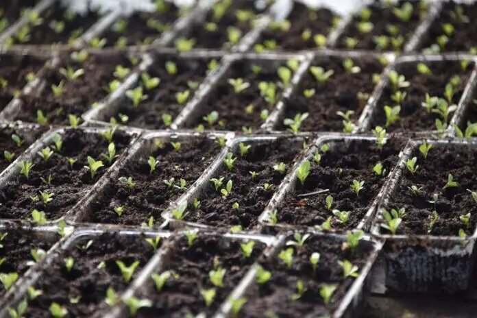    Фото: oblgazeta.ru Григорий Шевелев