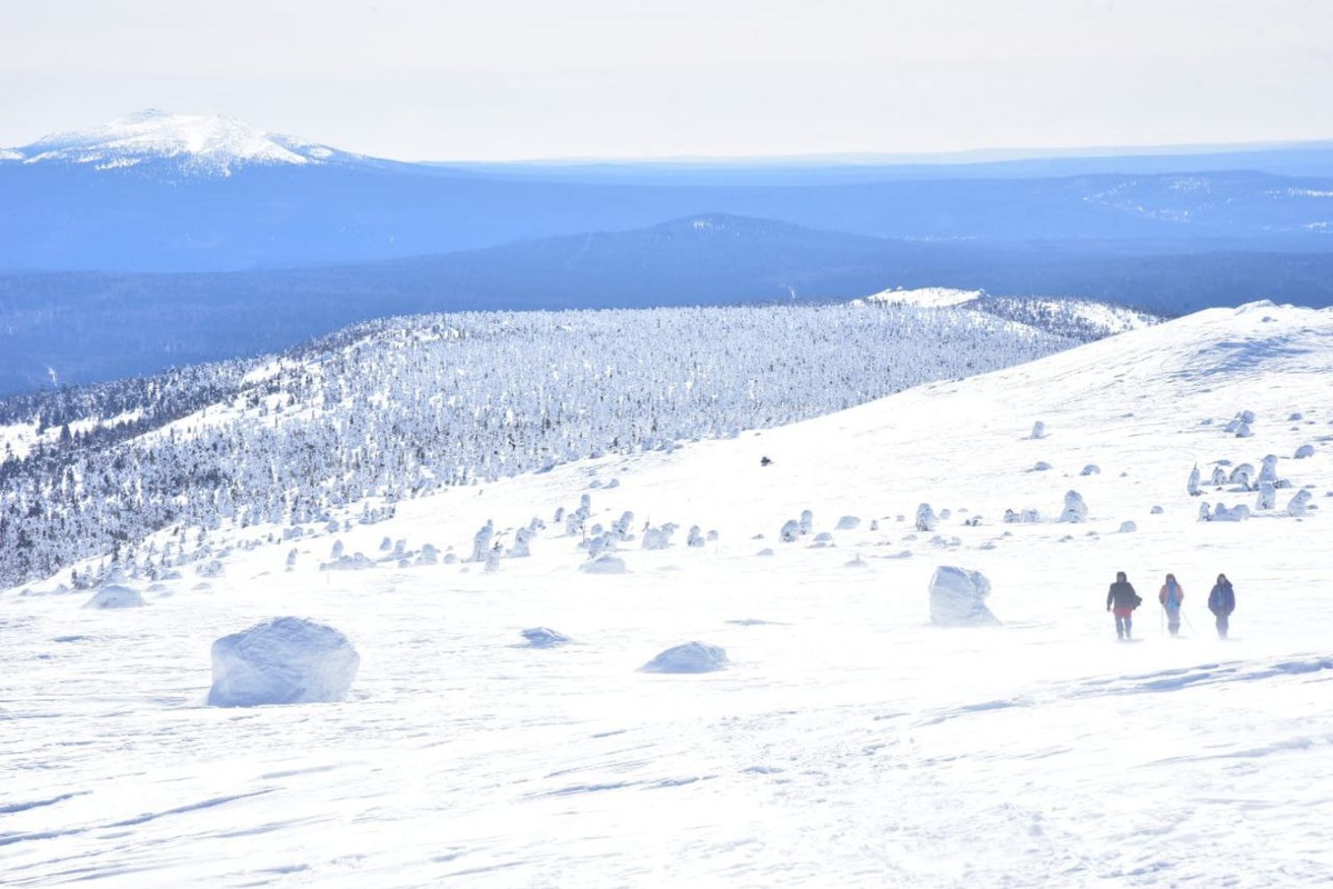 Возбуждено уголовное дело в связи с пропажей пяти туристов из Башкирии, которые должны были вернуться с плато Кваркуш еще 24 февраля.  Фото: Фото: ФедералПресс / Елена Селиванова