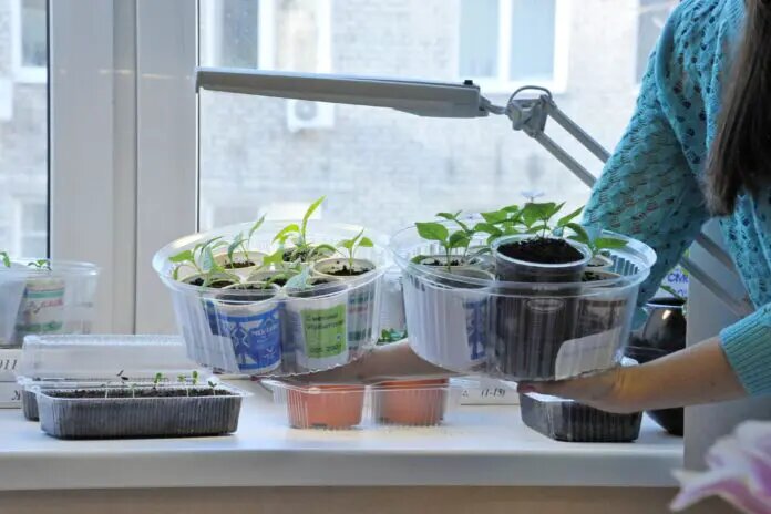    Фото: oblgazeta.ru Дарья Николаева