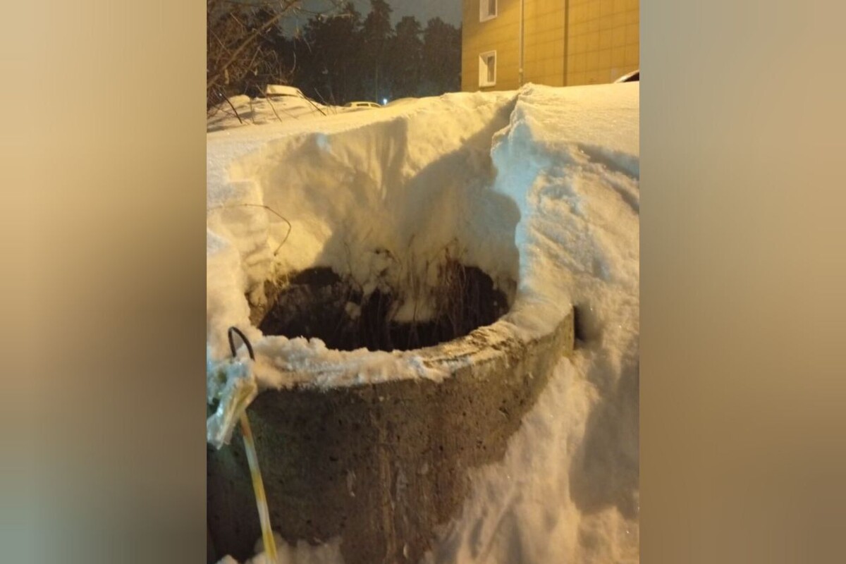     / Источник: Социальные сети