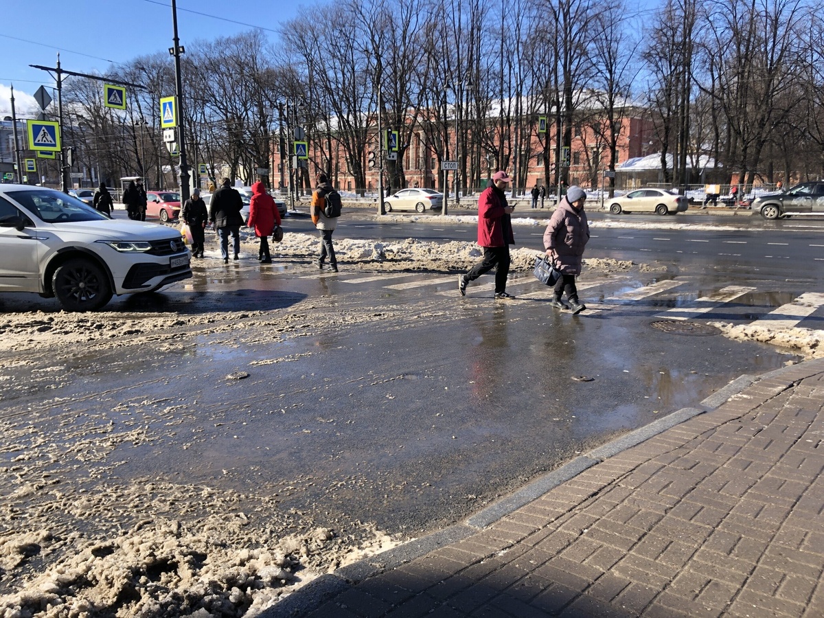 Фото: Neva.Today/Анастасия Смирнова
