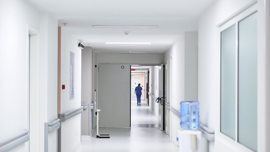    Автор фото: dotshock/Shutterstock/FOTODOM