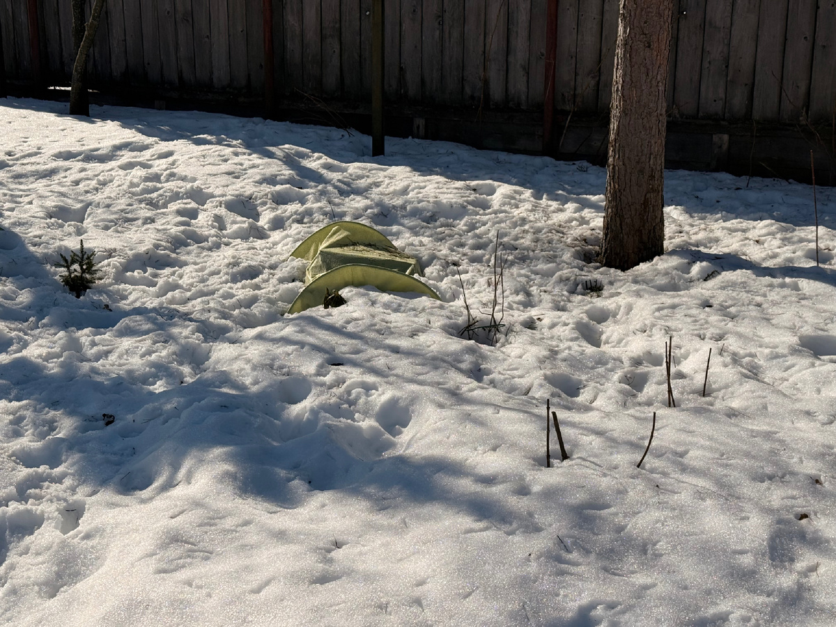 Это сегодня, 21 марта 2026. Снег продавил укрытия, но под ним лежат ящики. Надеюсь, не очень обломало ветки гортензии