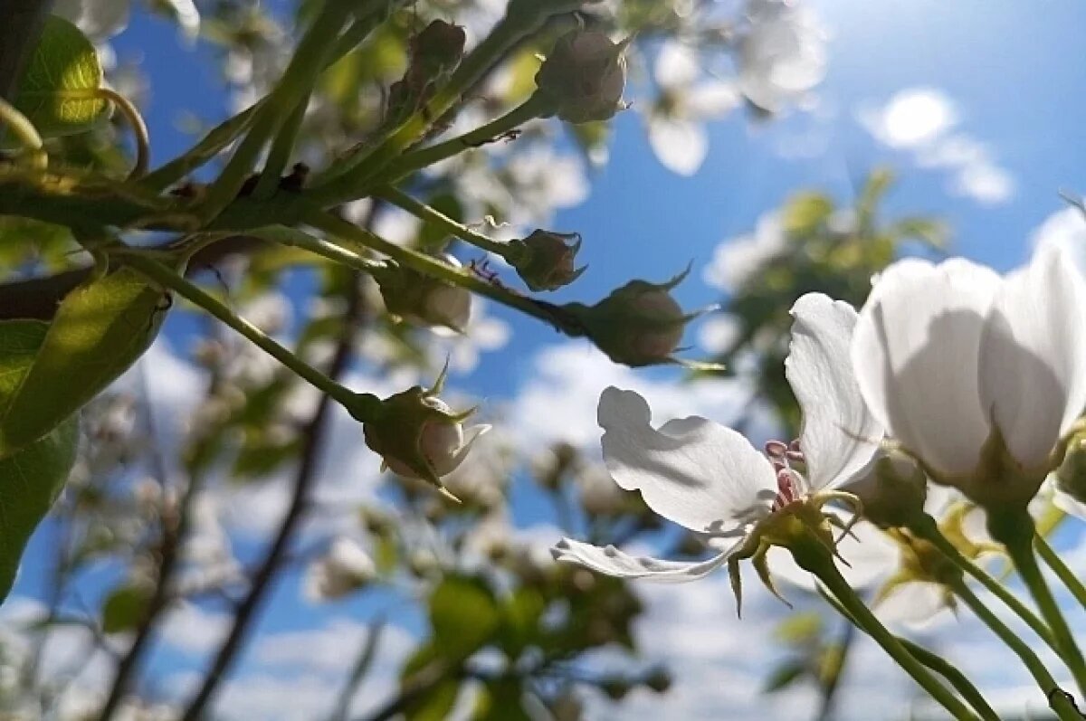    Потепление ждёт нижегородцев на выходных 28 февраля и 1 марта