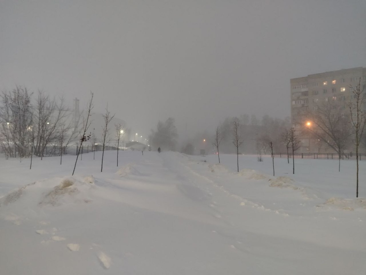 Тульская служба новостей — ТСН24