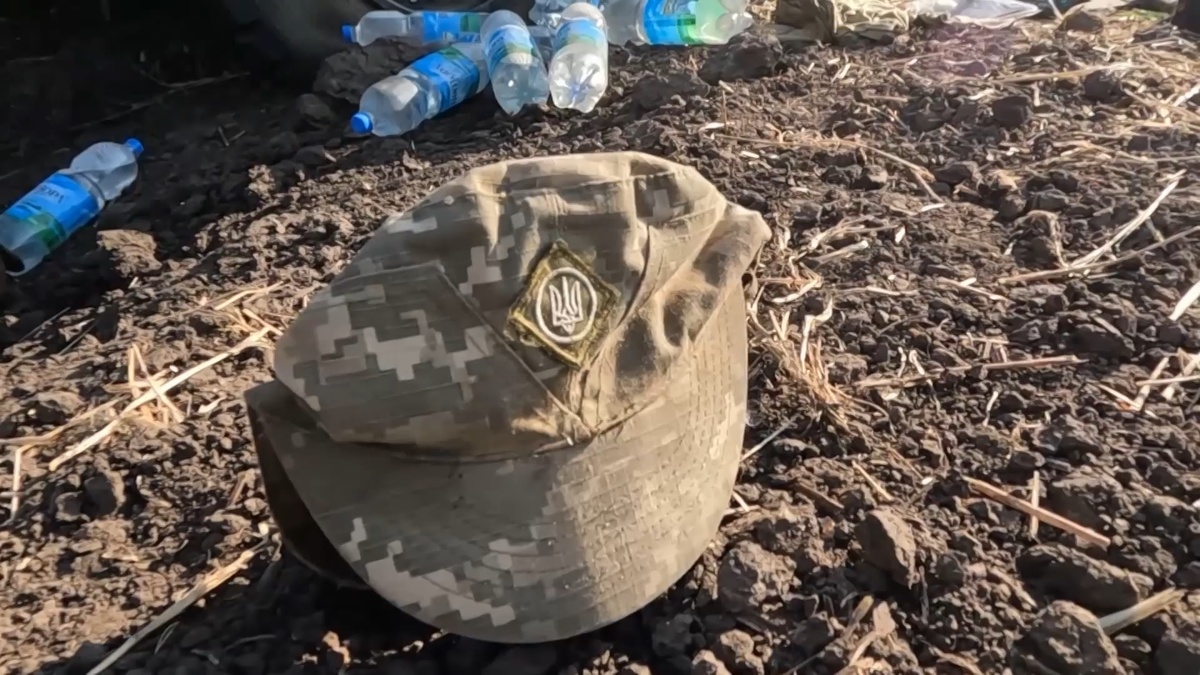    СВО Украина потери ВСУ