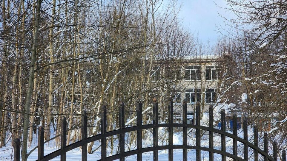     REGIONS / Елена Шумакова