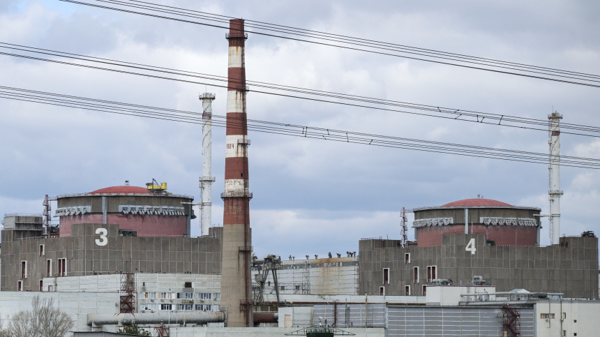    Фото: © РИА Новости/Константин Михальчевский