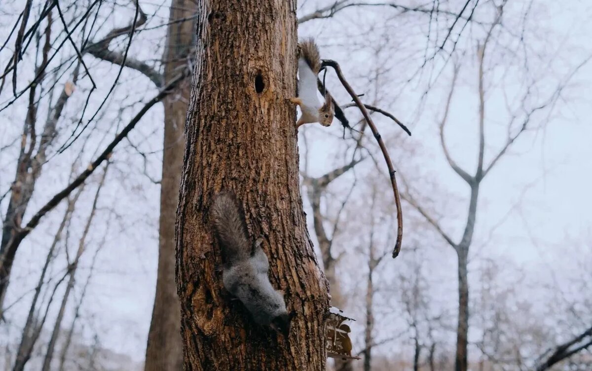    «Гомункул» в каше и самая денежная профессия: что обсуждают ижевчане в соцсетях 27 февраля