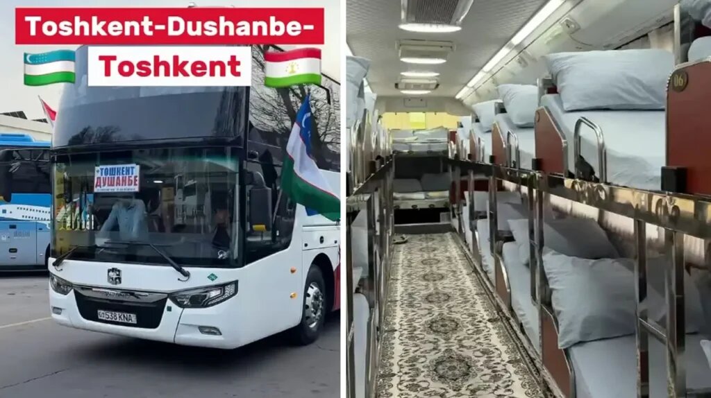    Источник: vaib.uz