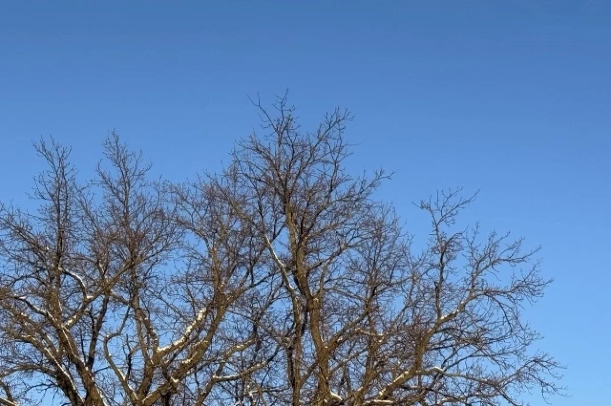    В Удмуртии 27 февраля объявили угрозу атаки БПЛА