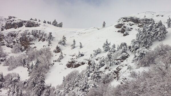    © РИА Новости Крым . Александр Дружинович