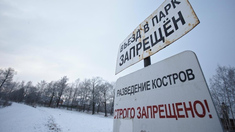    Автор фото: Ваганов Антон/"ДП"