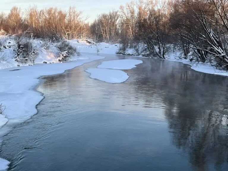    Глава Бузулука предупредил о сбросе воды в Домашку Оренбуржье